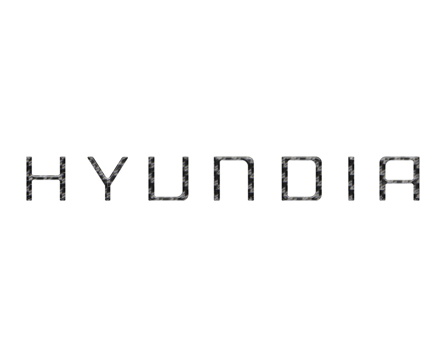 Tonneau Cover Handle Letter Inserts Fits 2022-2024 Hyundai Santa Cruz