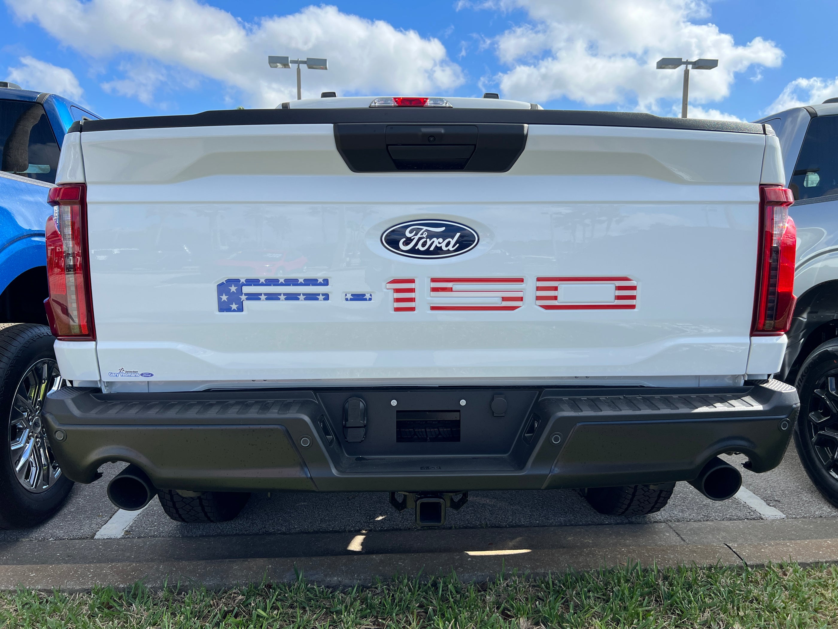Tailgate Letter Inserts Fits 2021-2026 Ford F-150 — Tufskinz.com