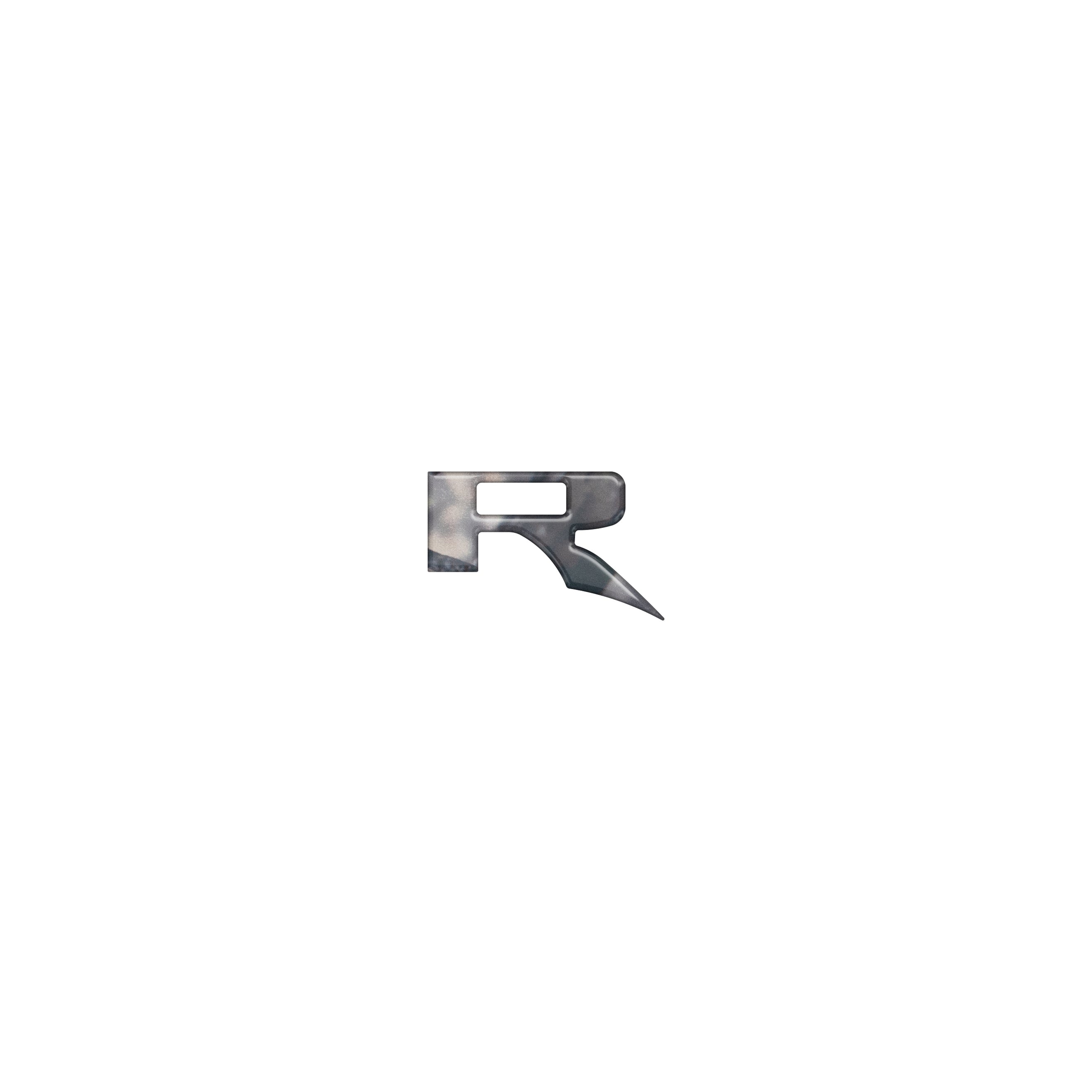 Letter R As Raptor Raptor
