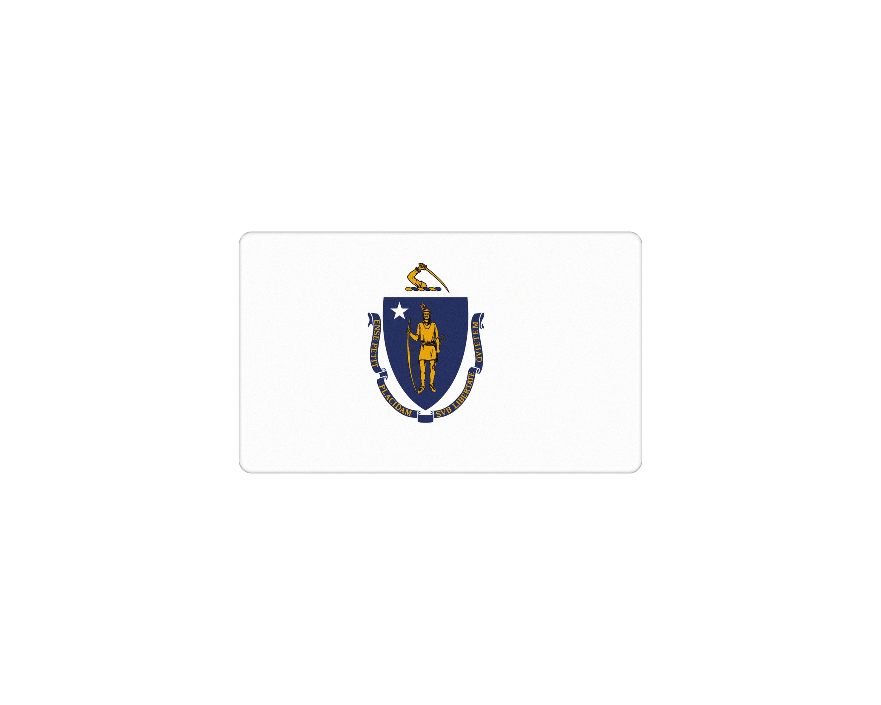 USA Flag Emblem Fits - Universal — Tufskinz.com
